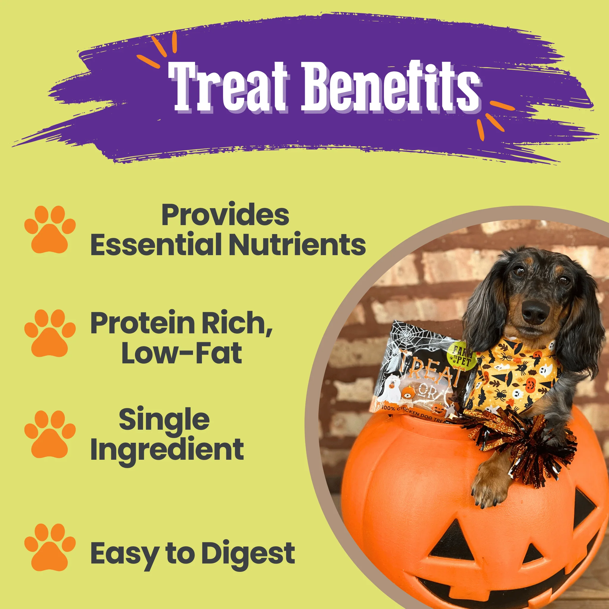 Trick or Treat Chip Mix Halloween Dog Treats - Image 4