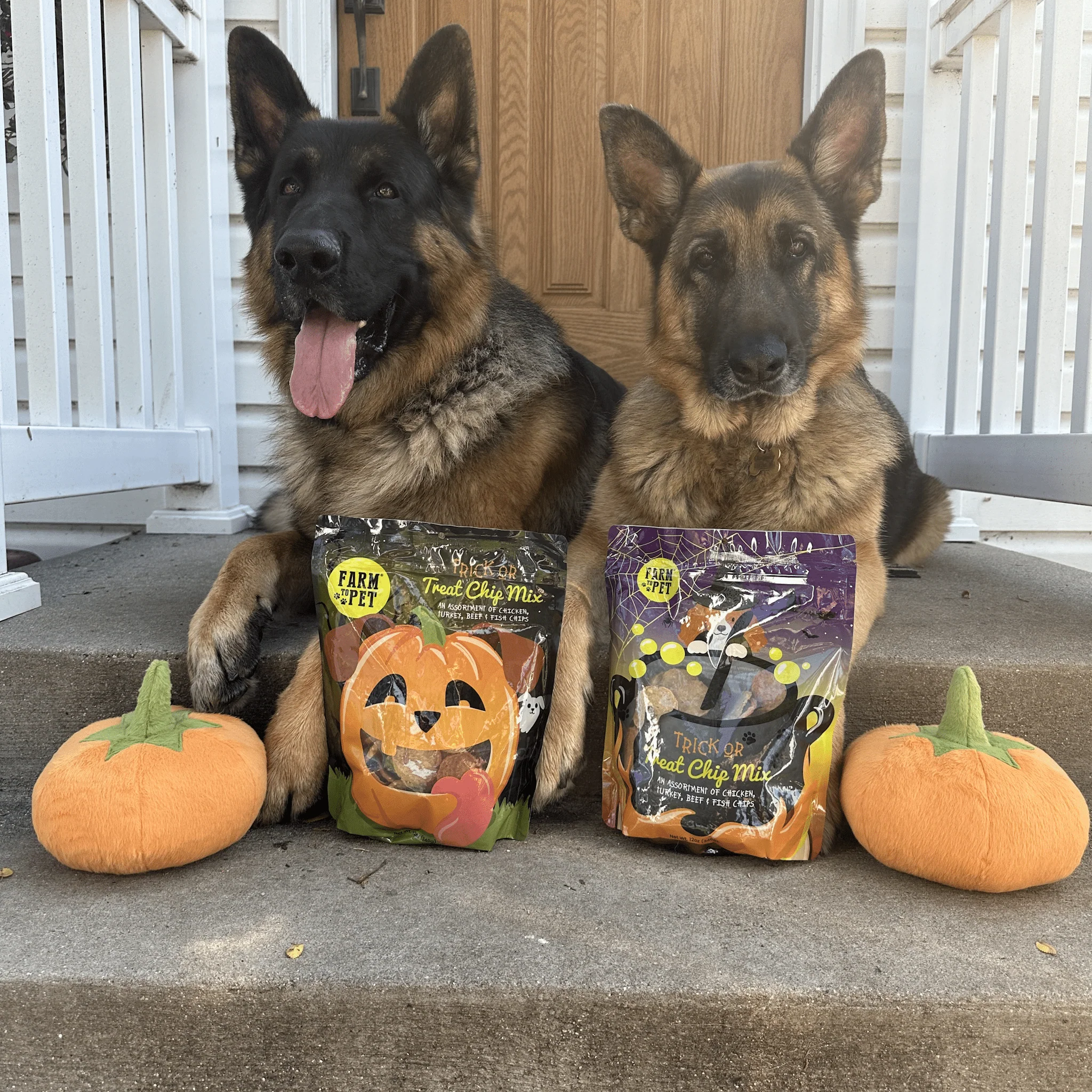 Trick or Treat Chip Mix Halloween Dog Treats - Image 7