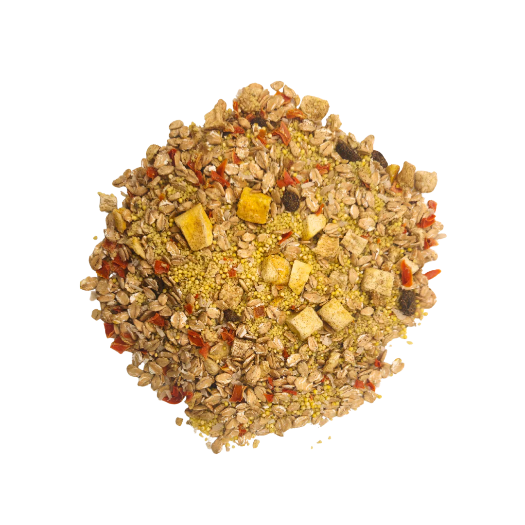 Tropical - Feast on the Fly - Image 2