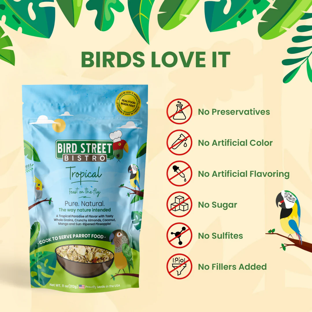 Tropical - Feast on the Fly - Image 3