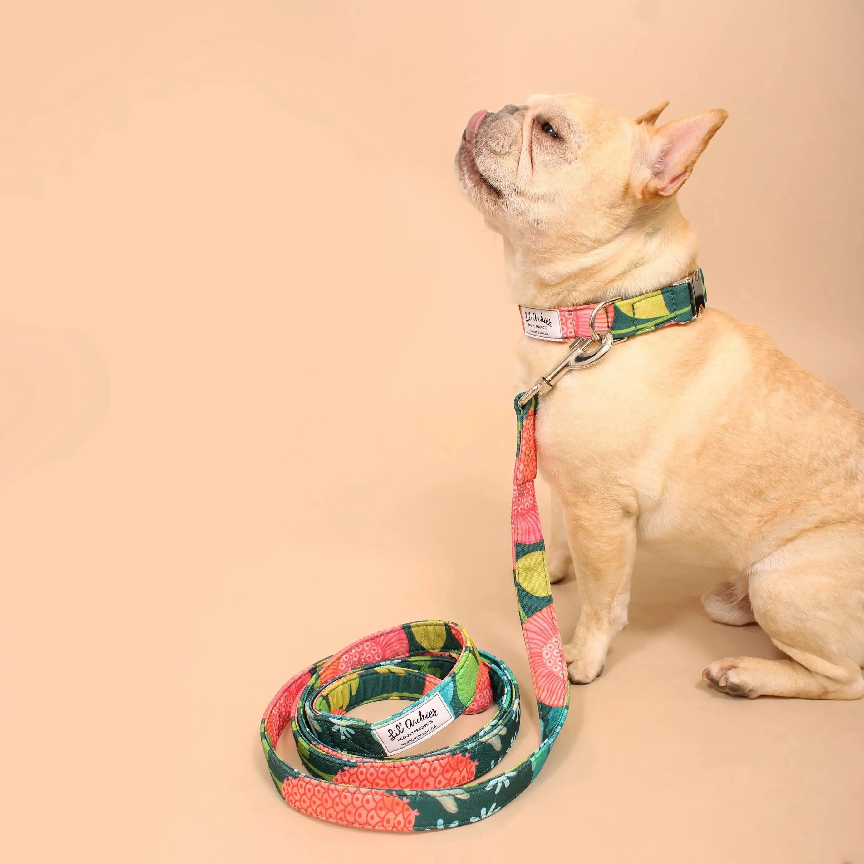 Tropical Garden Recycled Dog Walk Set - Image 2