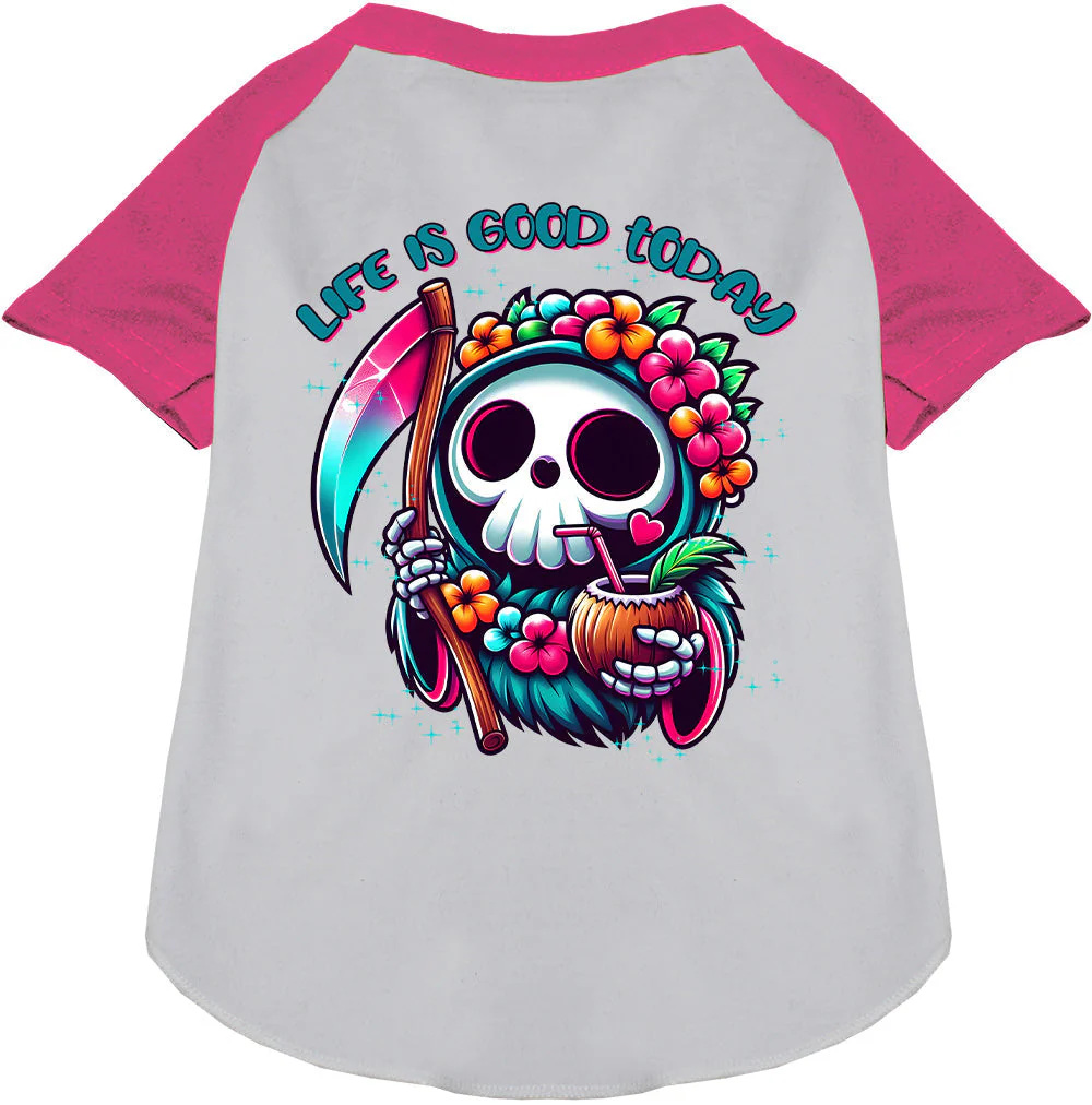 Tropical Grim Reaper Pet Raglan Shirt - Image 5