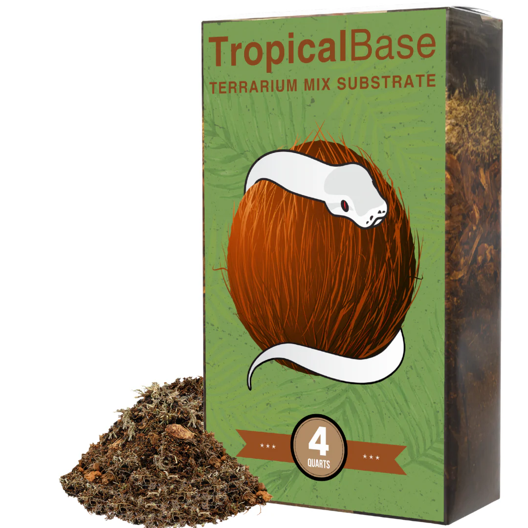 TropicalBase Terrarium Mix; Bioactive Ready to Use - Image 4