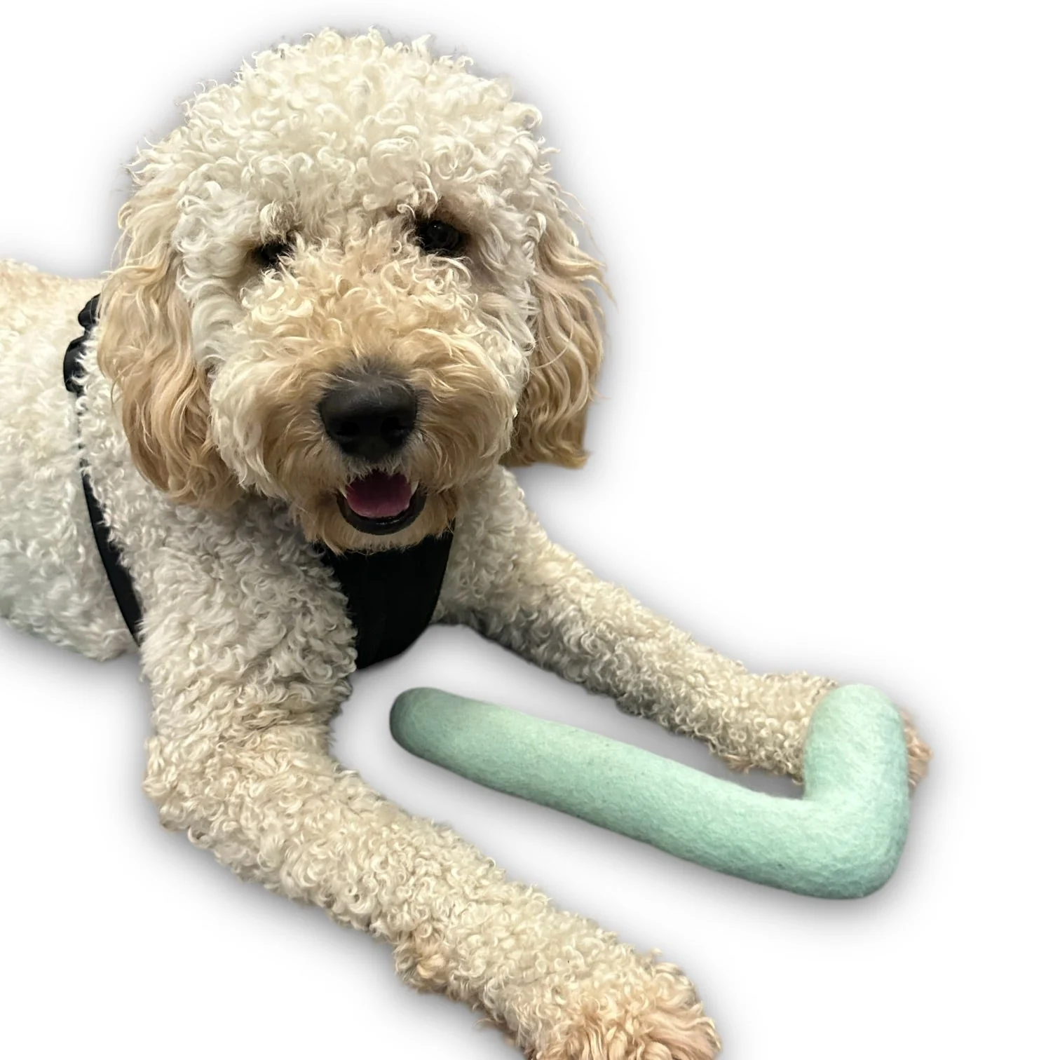 Tube Felt Dog Toy - Image 6