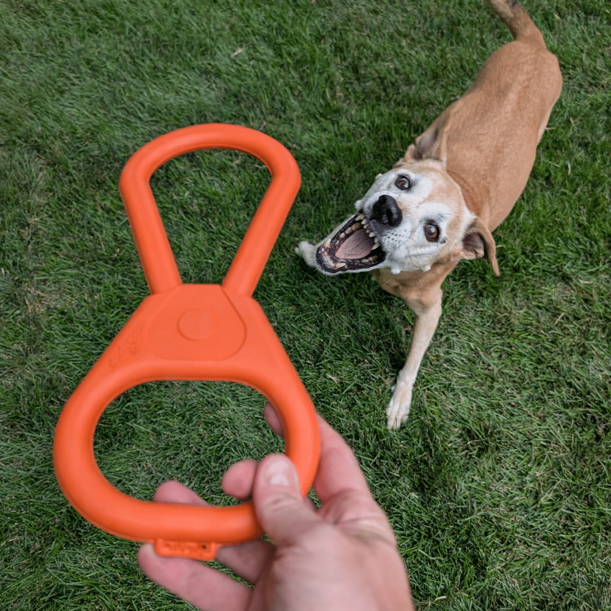 Tug Toys - Image 10