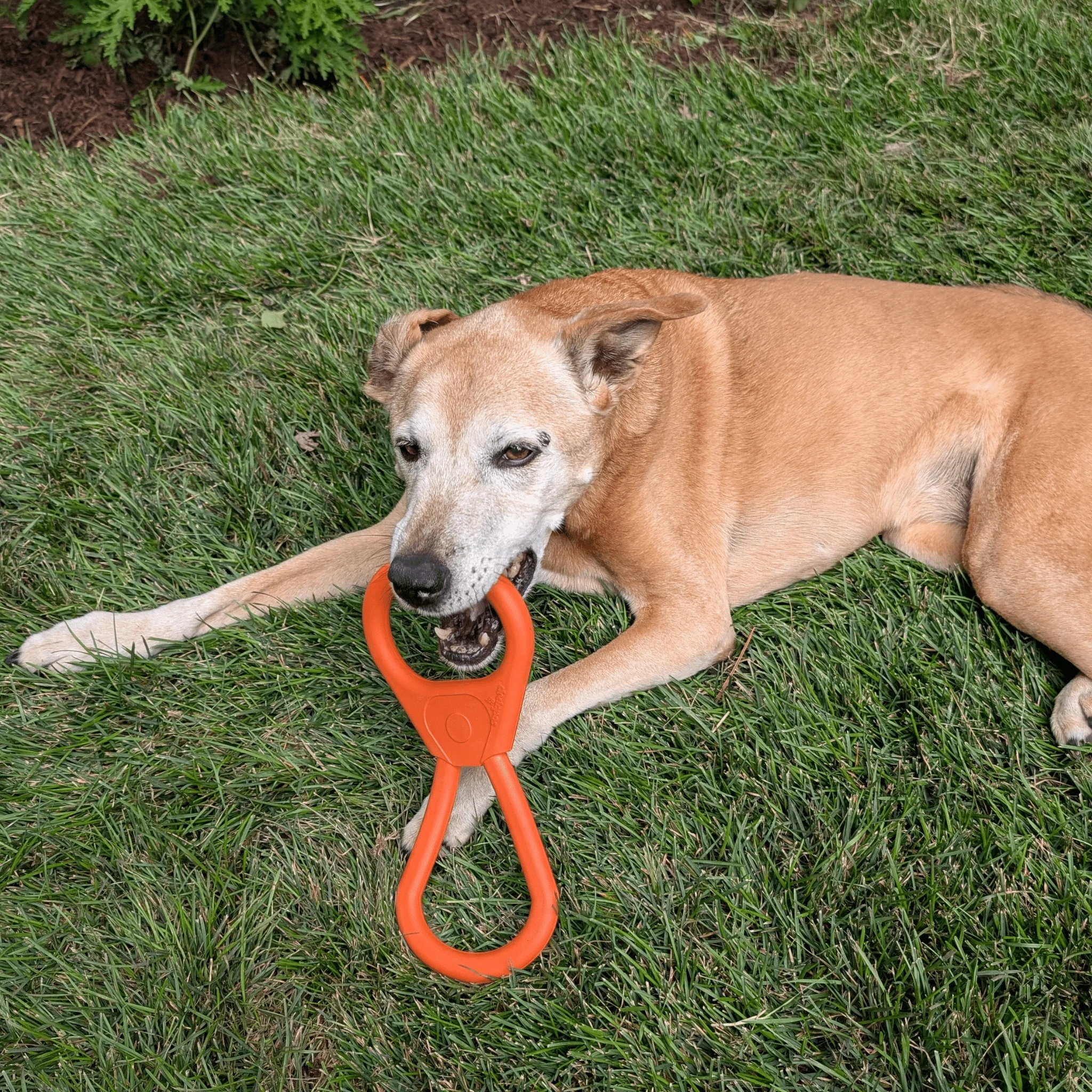Tug Toys - Image 14