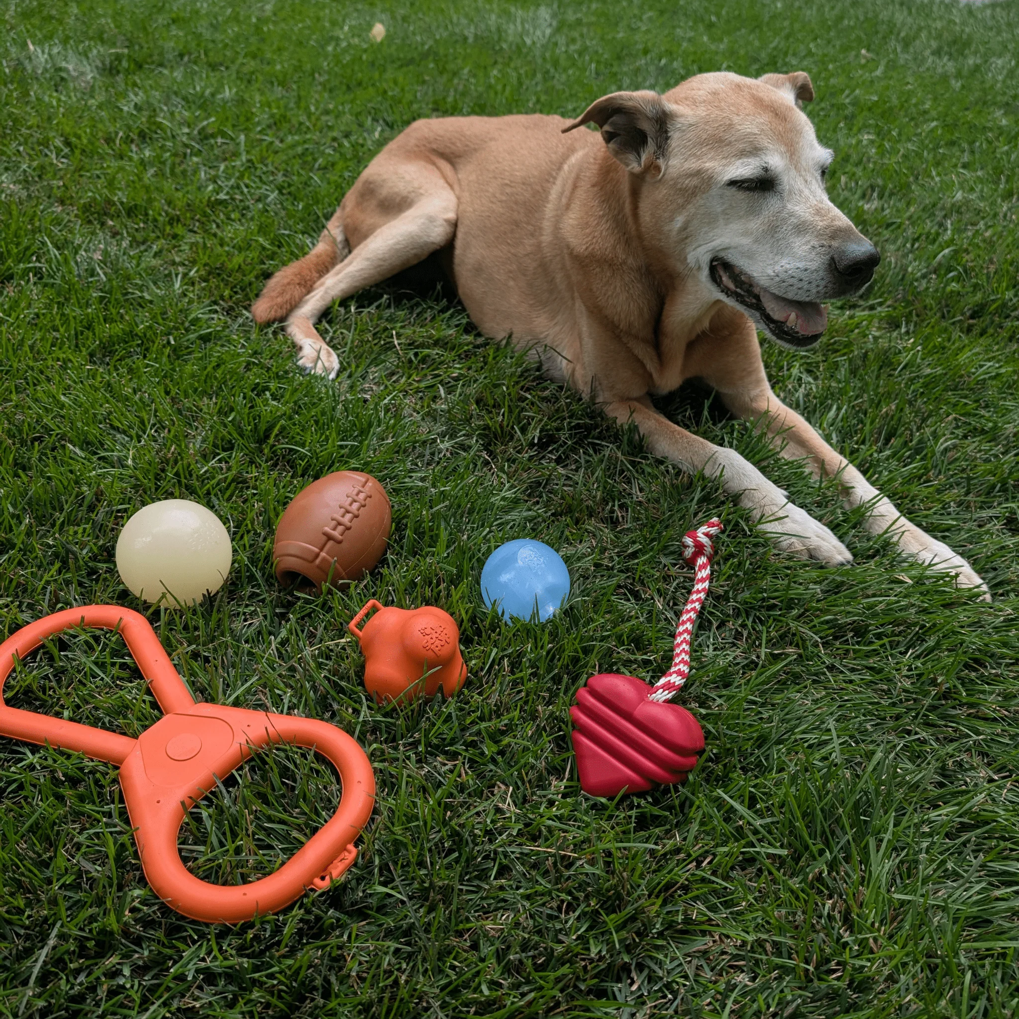 Tug Toys - Image 15