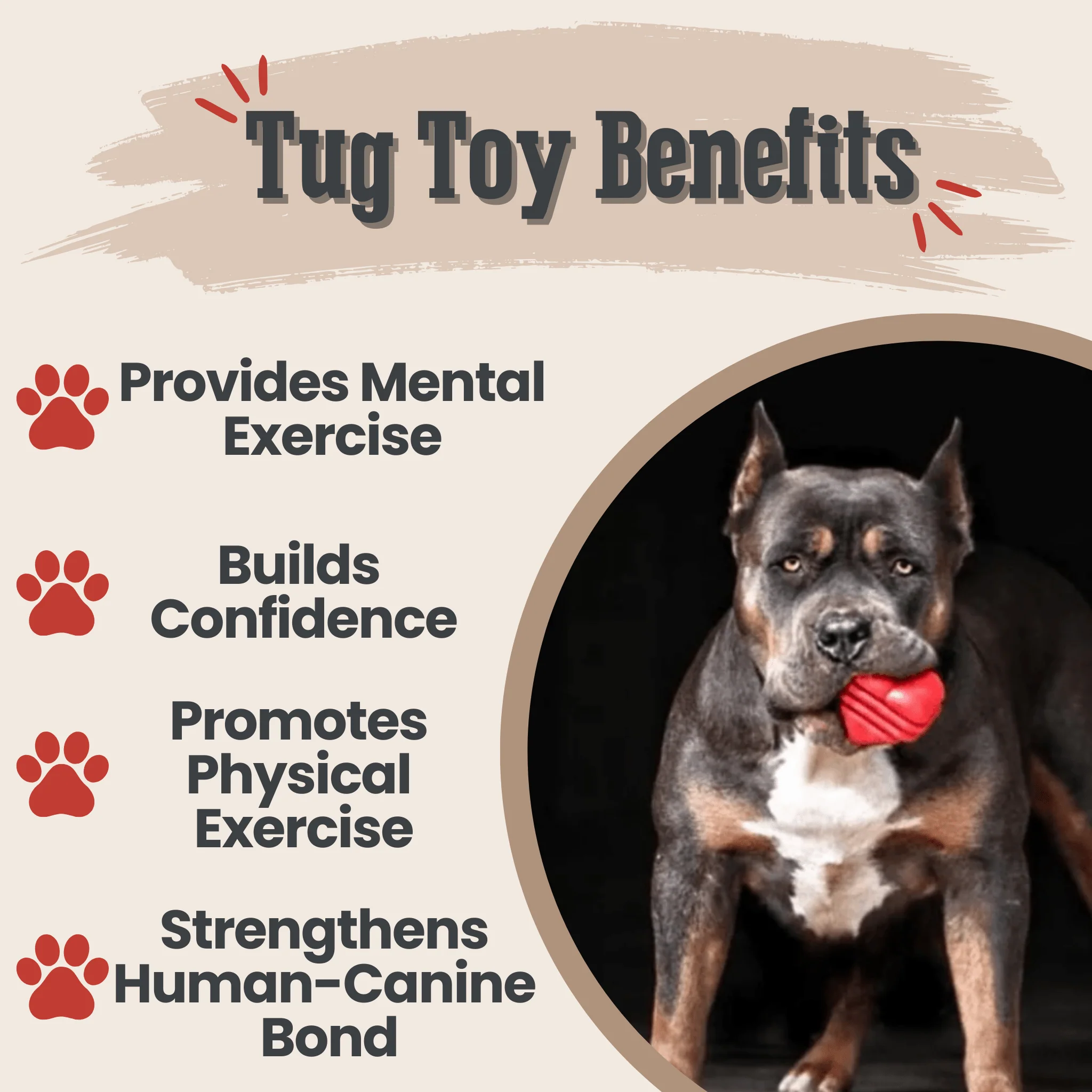 Tug Toys - Image 4