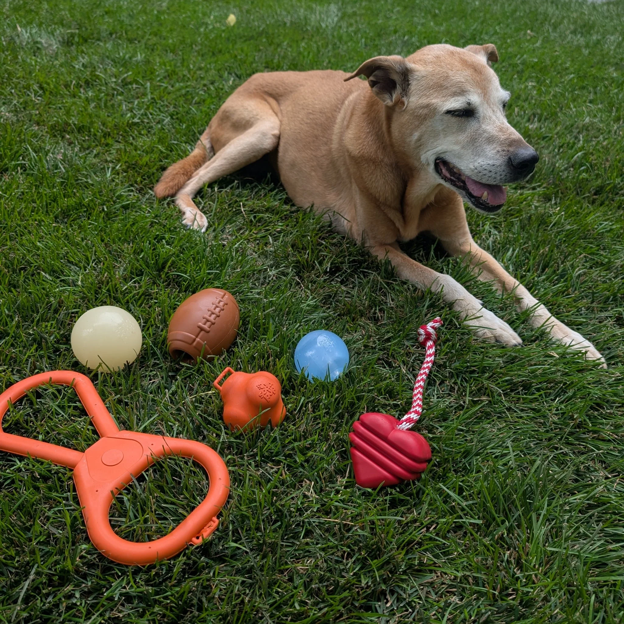 Tug Toys - Image 8