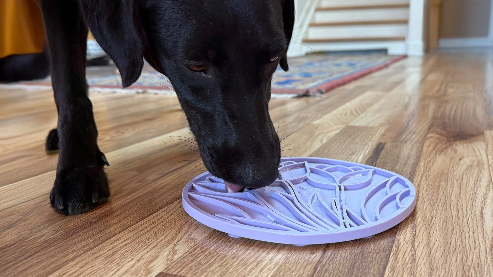 Tulip Design eMat - Enrichment Lick Mat For Dogs and Cats - With Suction Cups | USA Made - Image 12