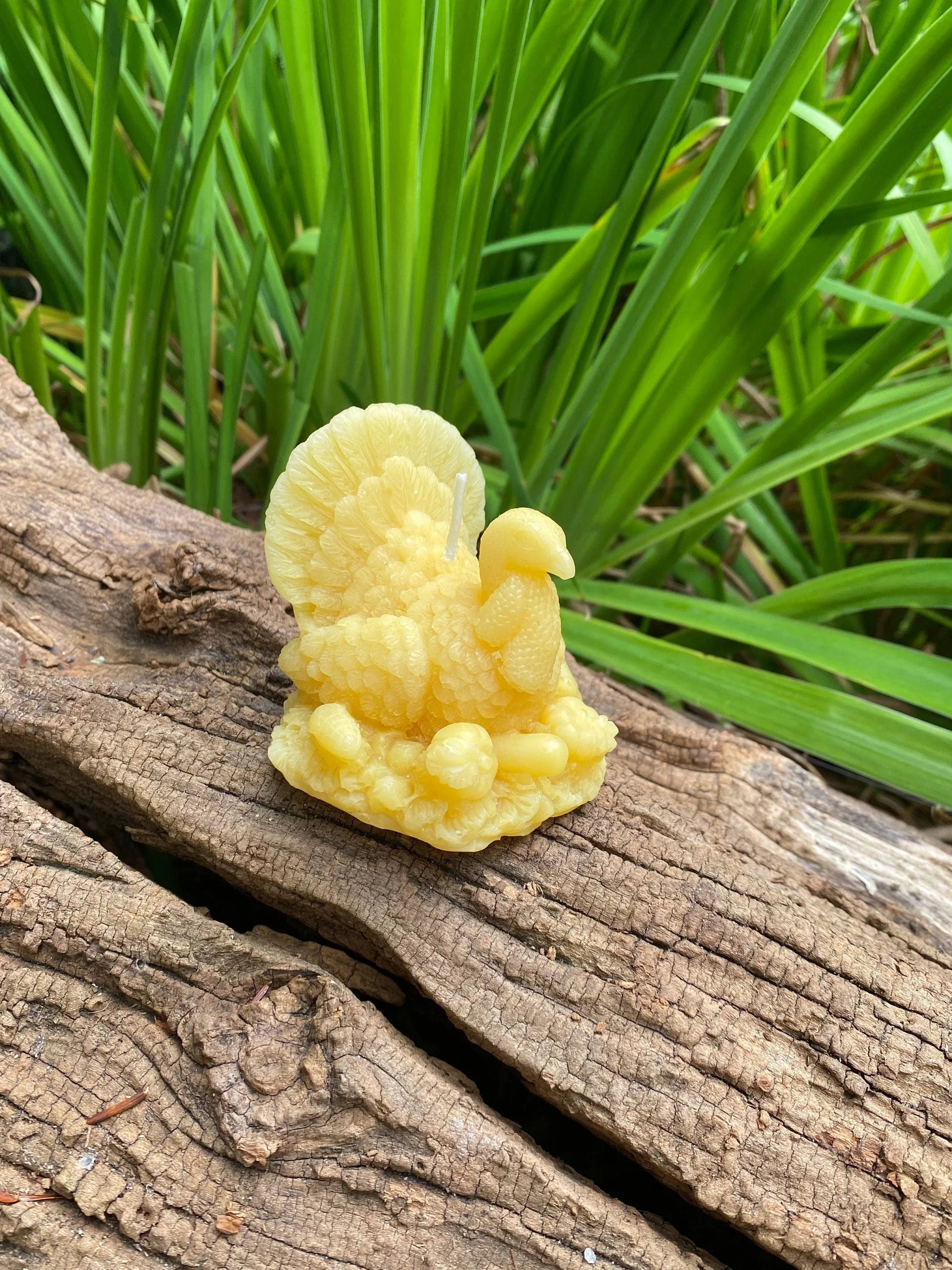 Turkey Beeswax Candle - Image 7