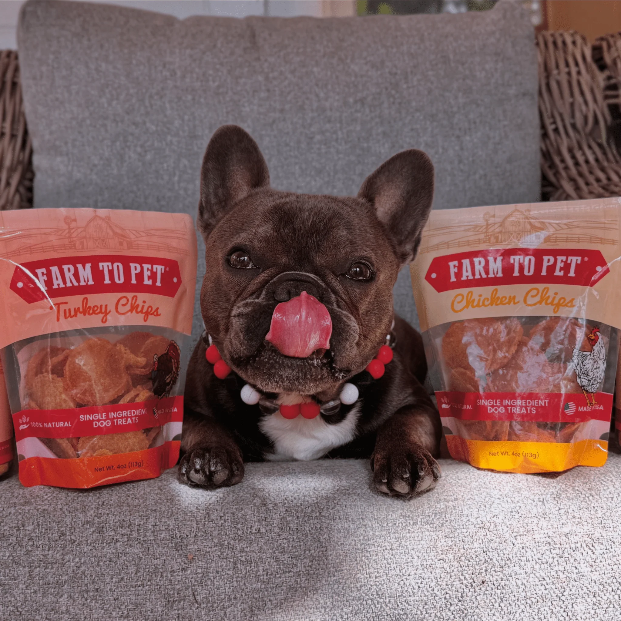 Turkey & Chicken Chip Dog Treat Duo | Single-Ingredient Poultry Treats for Dogs - Image 3