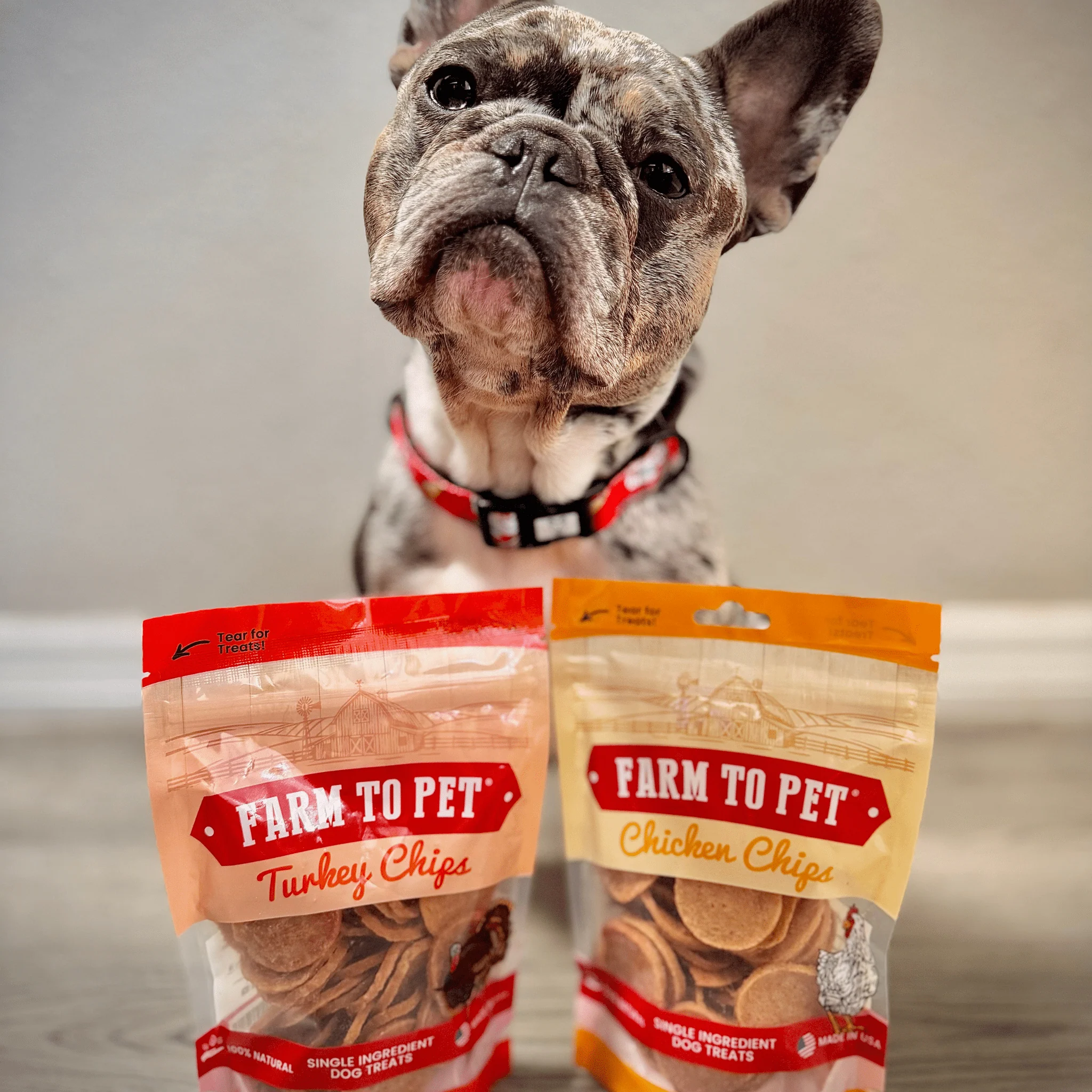 Turkey & Chicken Chip Dog Treat Duo | Single-Ingredient Poultry Treats for Dogs - Image 4