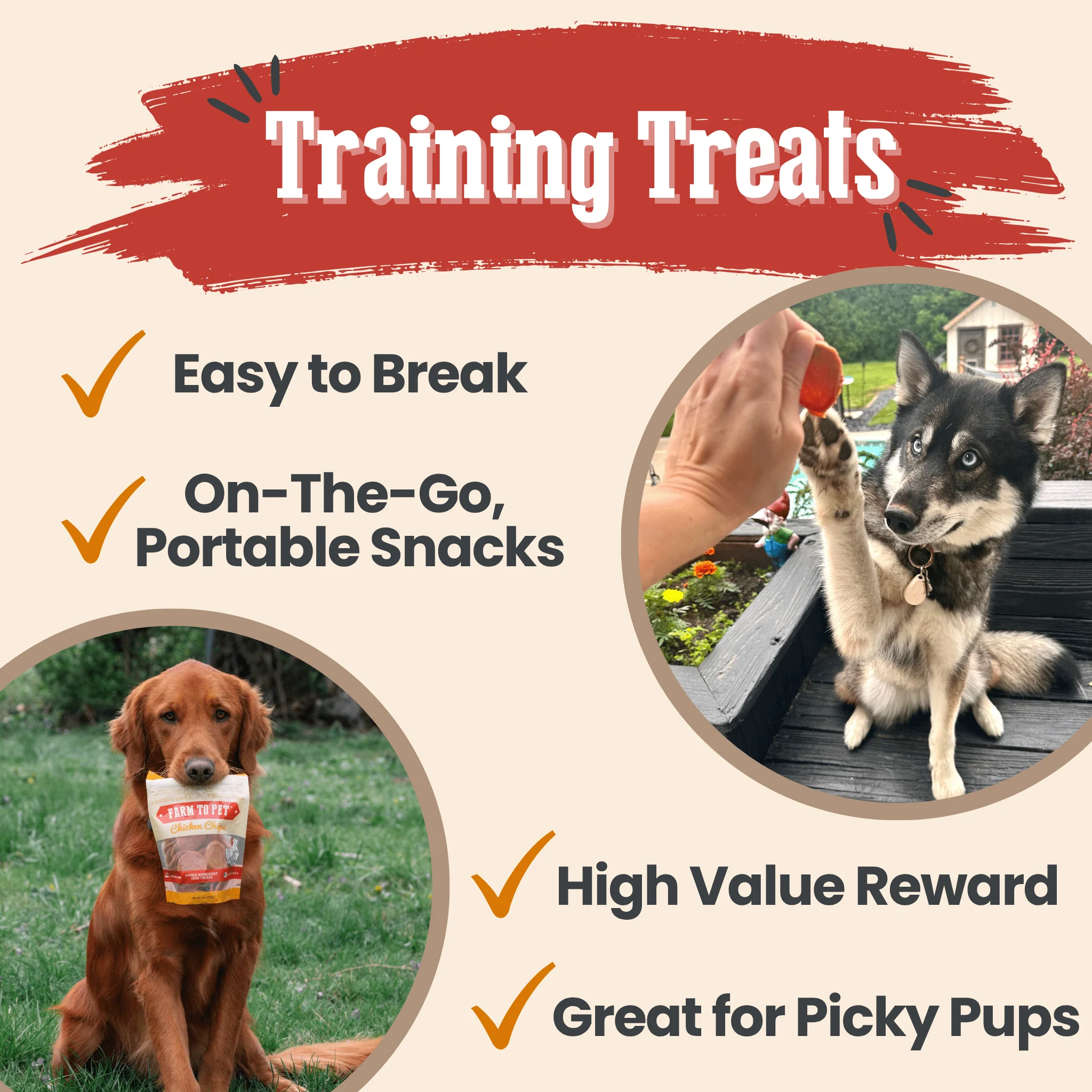 Turkey & Chicken Chip Dog Treat Duo | Single-Ingredient Poultry Treats for Dogs - Image 5