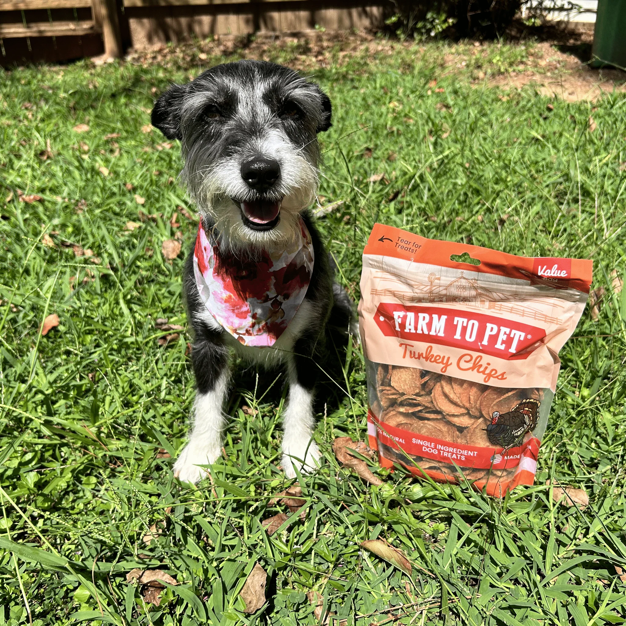 Turkey Chips for Dogs | All-Natural Single-Ingredient Healthy Dog Treats - Image 10