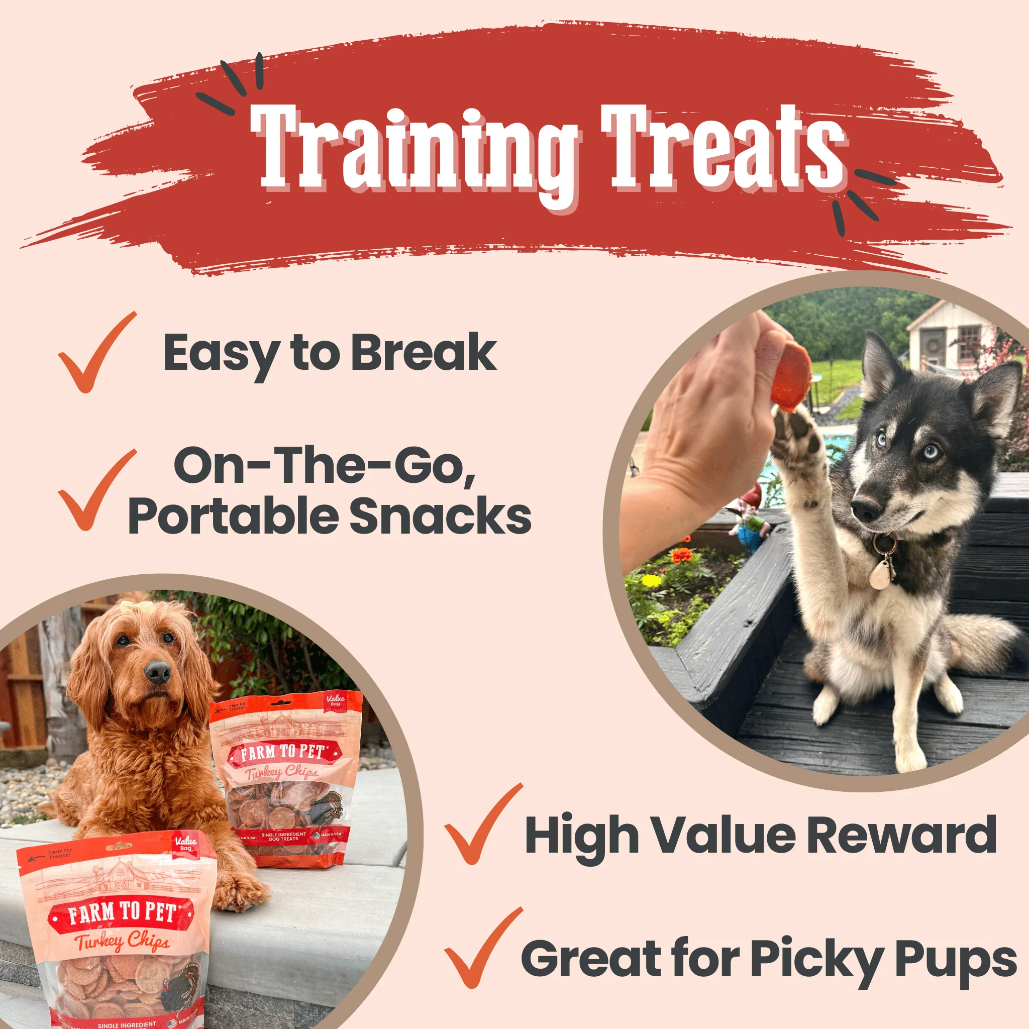 Turkey Chips for Dogs | All-Natural Single-Ingredient Healthy Dog Treats - Image 12