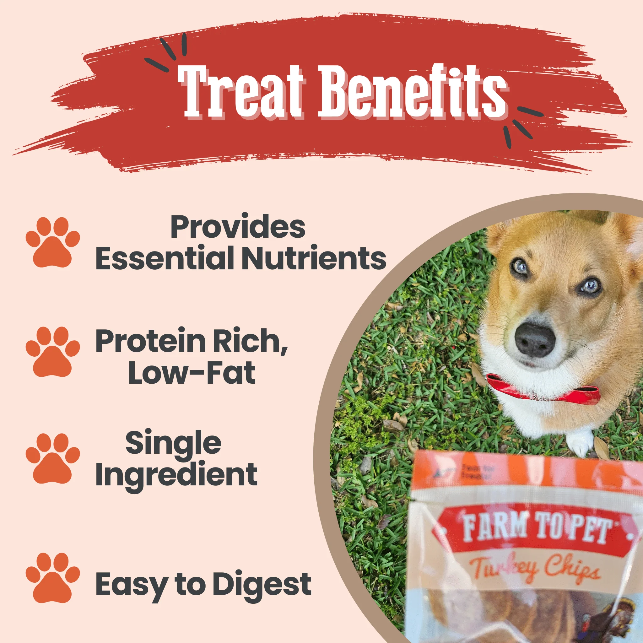 Turkey Chips Snack Pack Bundles | Low Allergen Treats for Training - Image 8