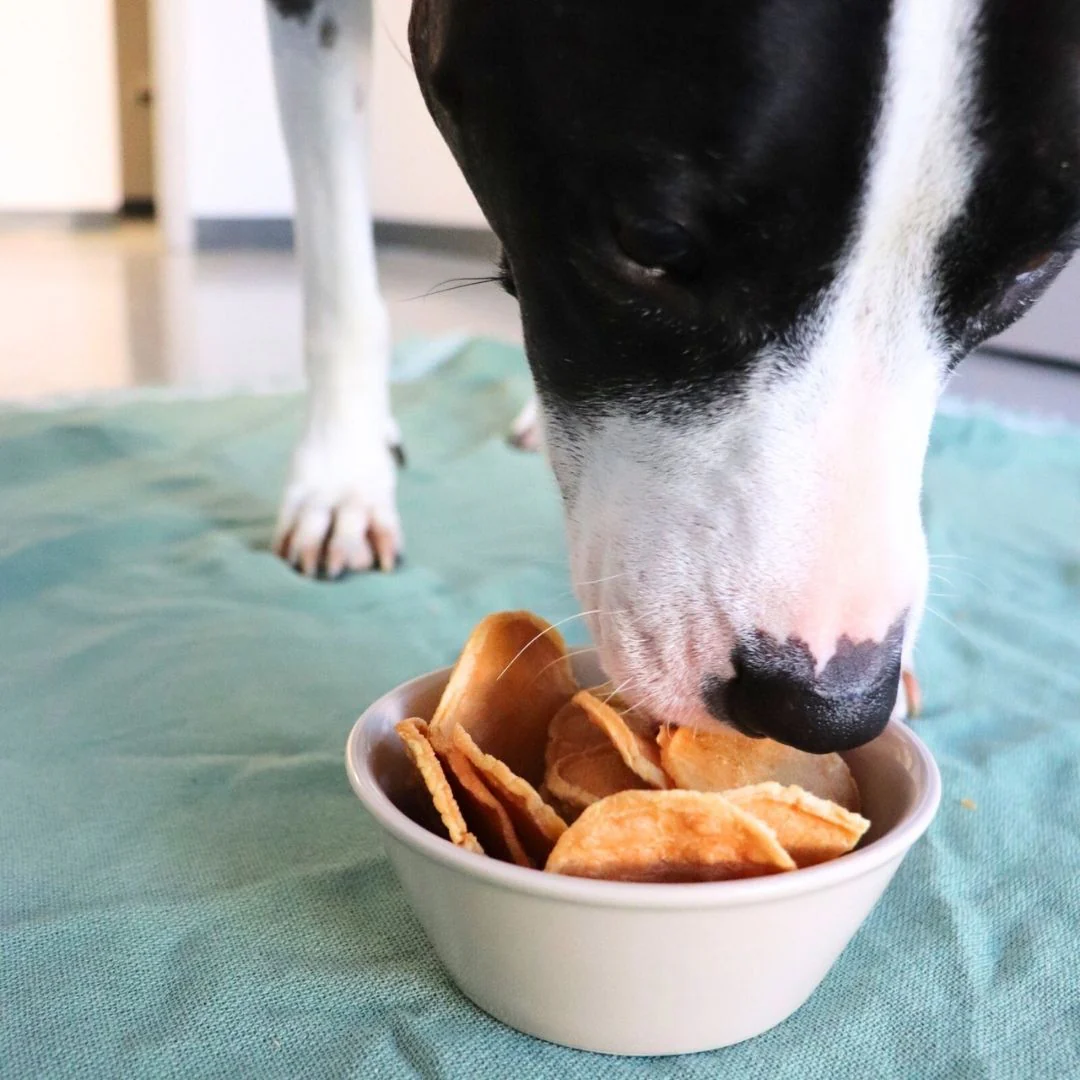 Turkey Tendon Chips - Image 2