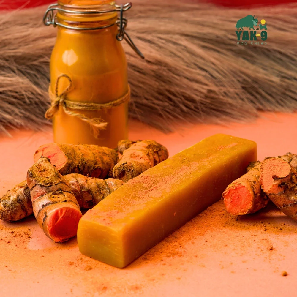 Turmeric Cheese Chews for Dogs - Image 3