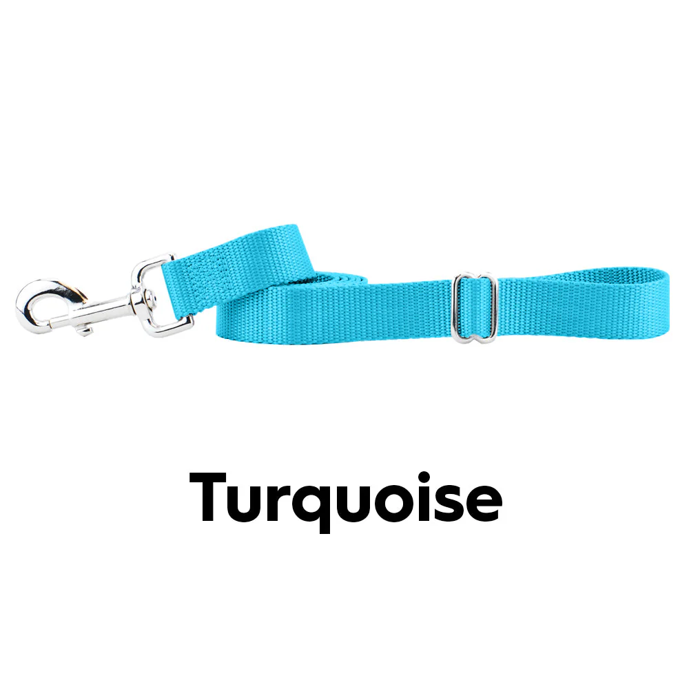 Turquoise Nylon Dog Leash - Image 2