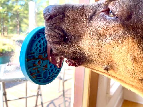 Turtle eMat-Mini Lick Mat with Suction Cups - Small Dogs & Cats | USA - Image 8