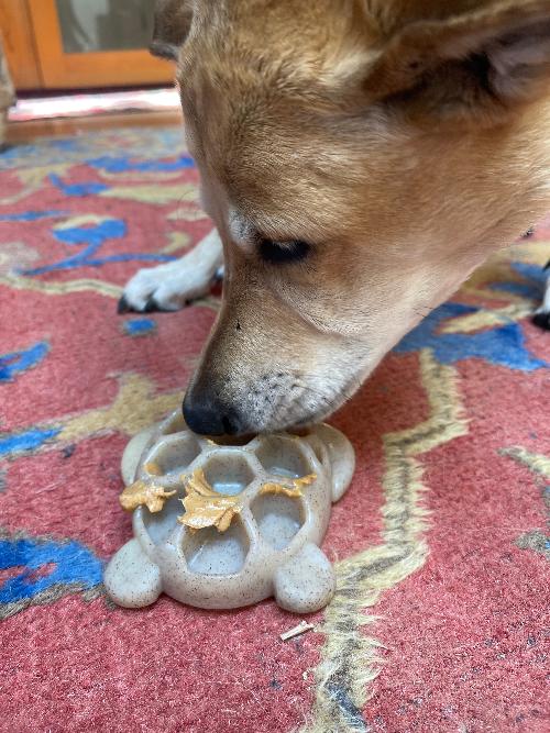 Turtle Nylon Chew Toy - Ultra-Durable Enrichment Toy for Power Chewers USA - Image 10