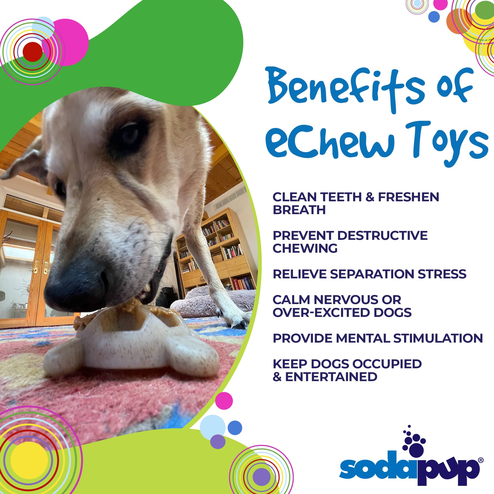 Turtle Nylon Chew Toy - Ultra-Durable Enrichment Toy for Power Chewers USA - Image 4
