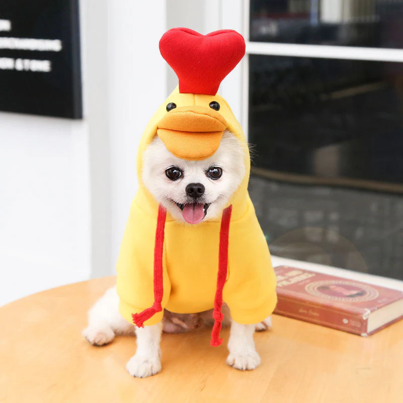 Two-legged Hooded Dog Clothes - Image 12