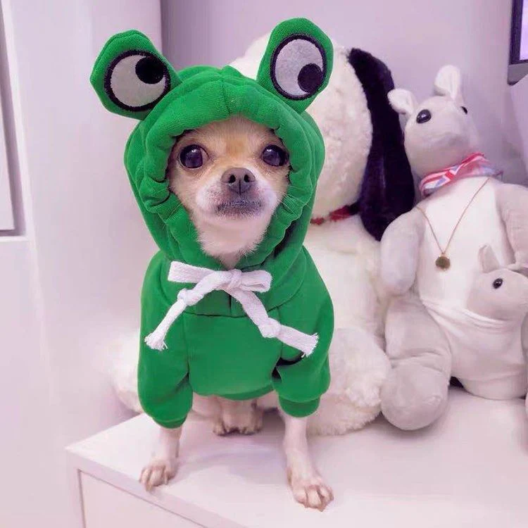 Two-legged Hooded Dog Clothes - Image 6