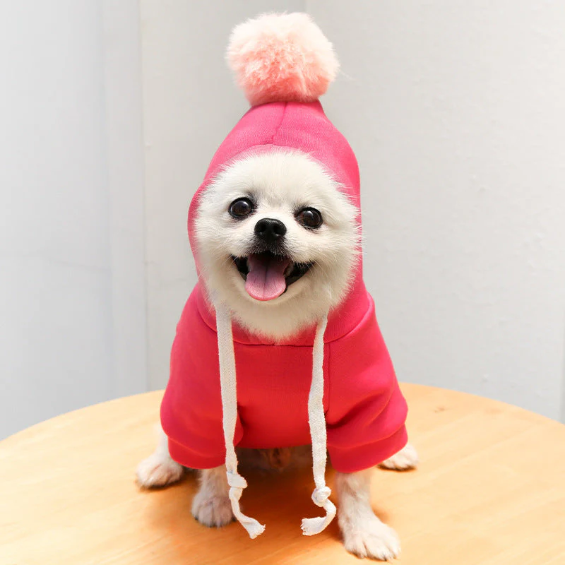 Two-legged Hooded Dog Clothes - Image 9