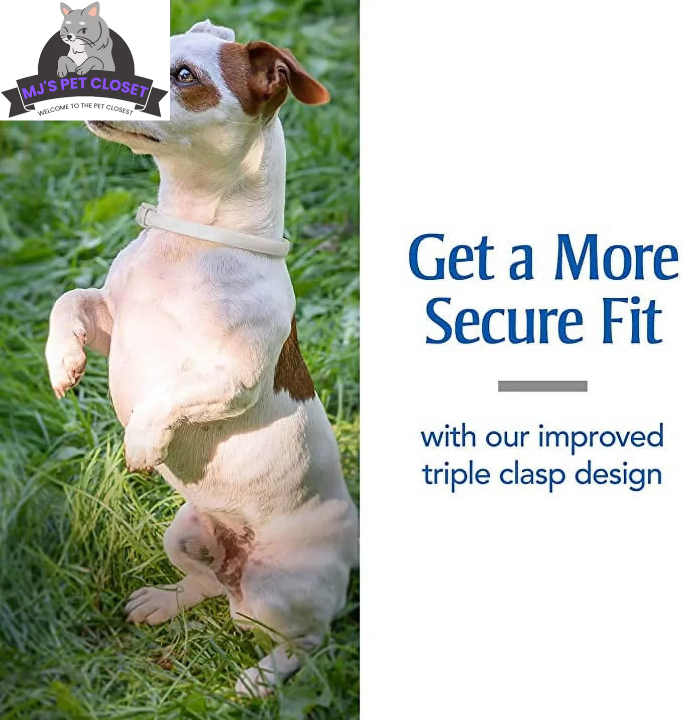 Ultimate Flea & Tick Protection Collar for Dogs - One Size Fits All, Lasts 6 Months - Image 4