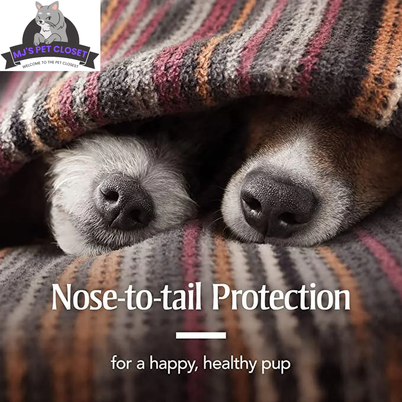 Ultimate Flea & Tick Protection Collar for Dogs - One Size Fits All, Lasts 6 Months - Image 6