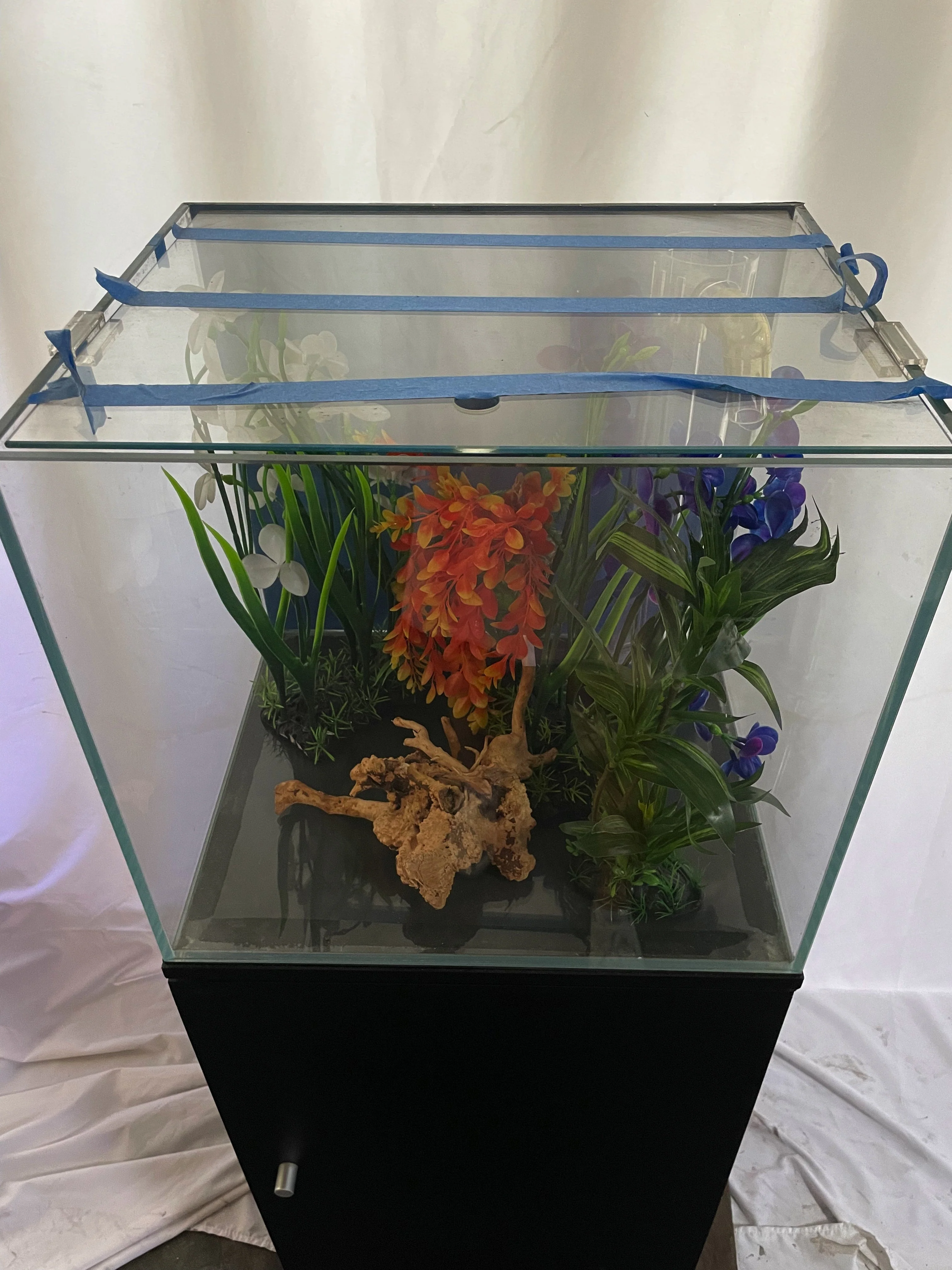 ULTRA CLEAR GLASS - 18 gallon cube fish tank aquarium full setup w/ filtration - Image 3