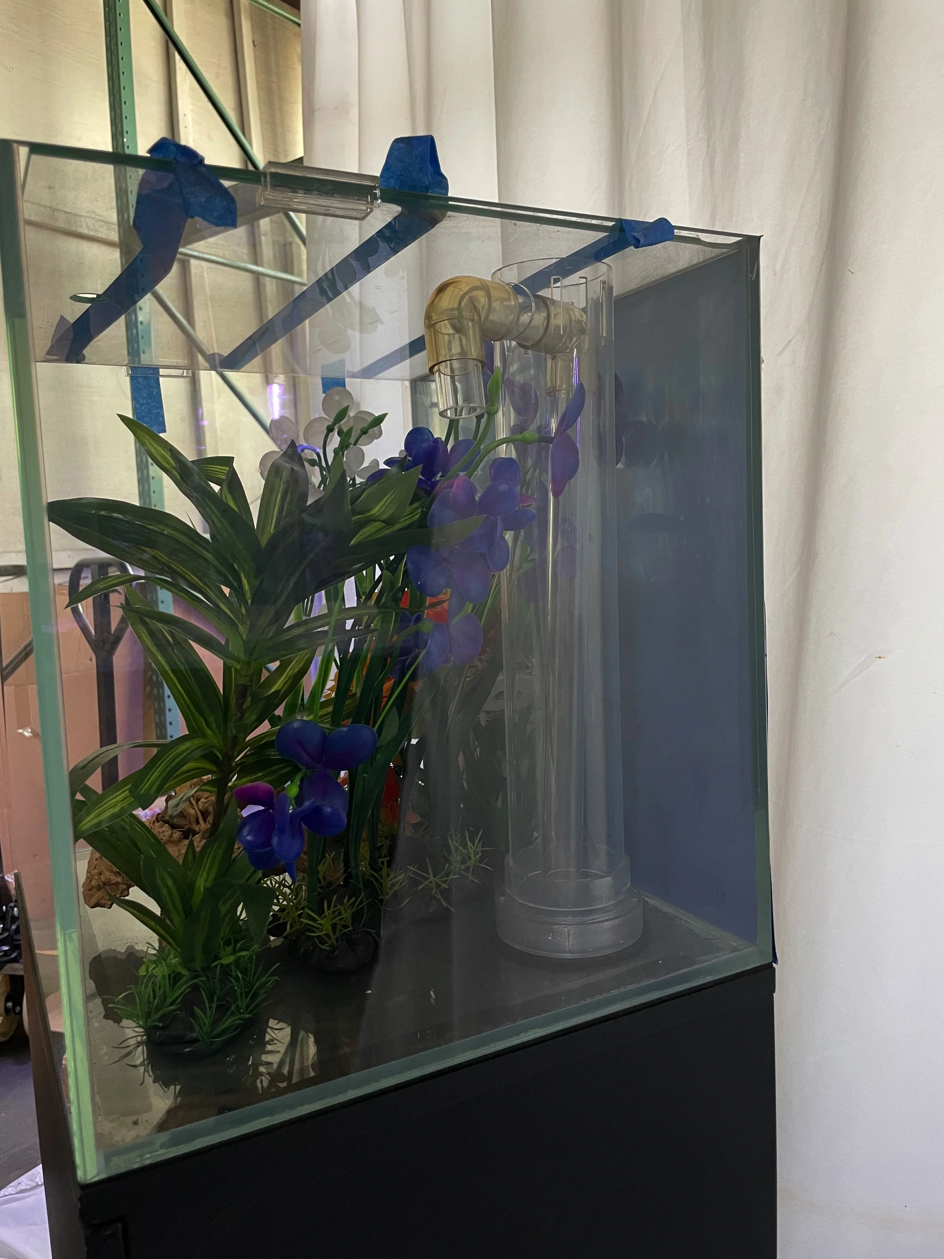 ULTRA CLEAR GLASS - 18 gallon cube fish tank aquarium full setup w/ filtration - Image 4