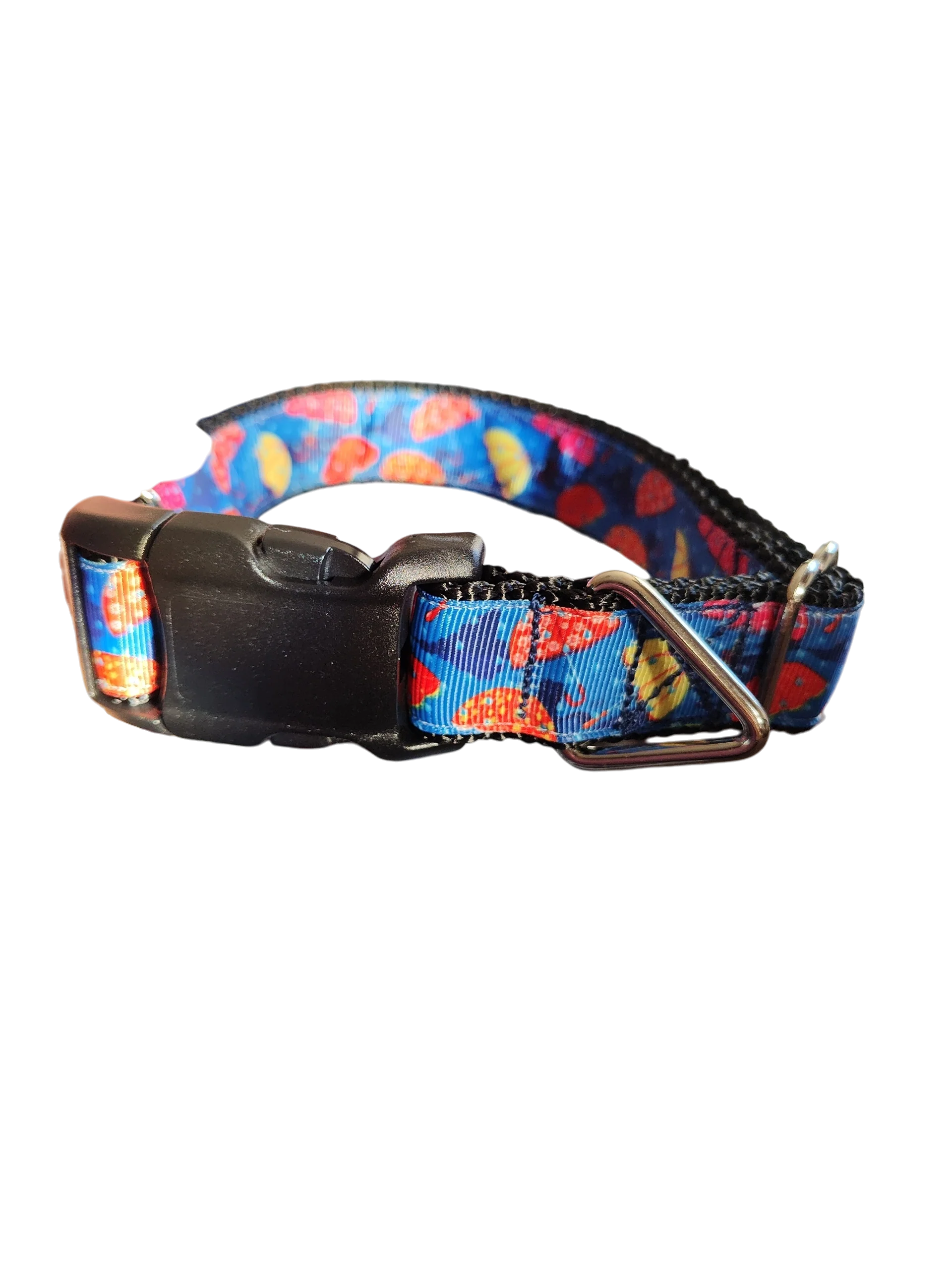 Umbrellas Nylon Dog Collar - Image 2