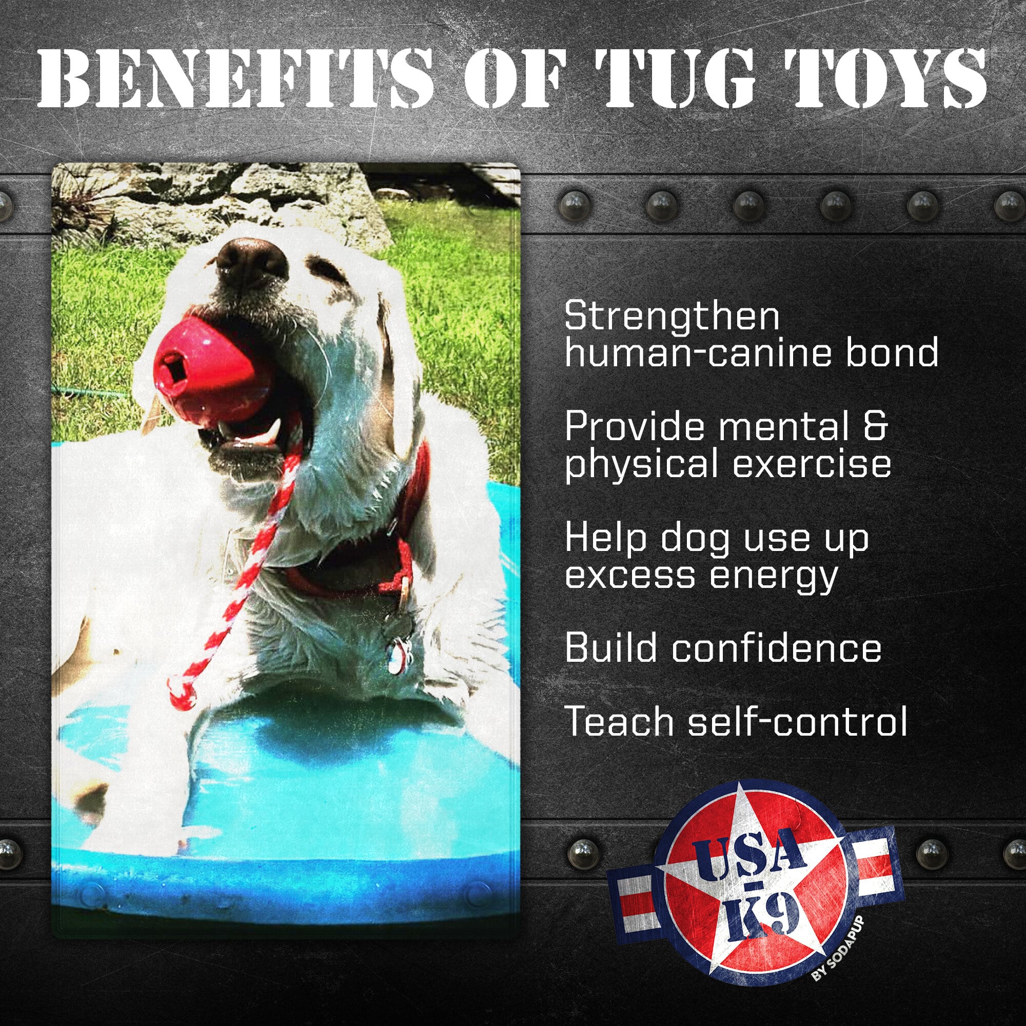 USA-K9 Cherry Bomb Rubber Dog Chew Toy | K9 Handler Reward Toy | Blue | USA Made - Image 3