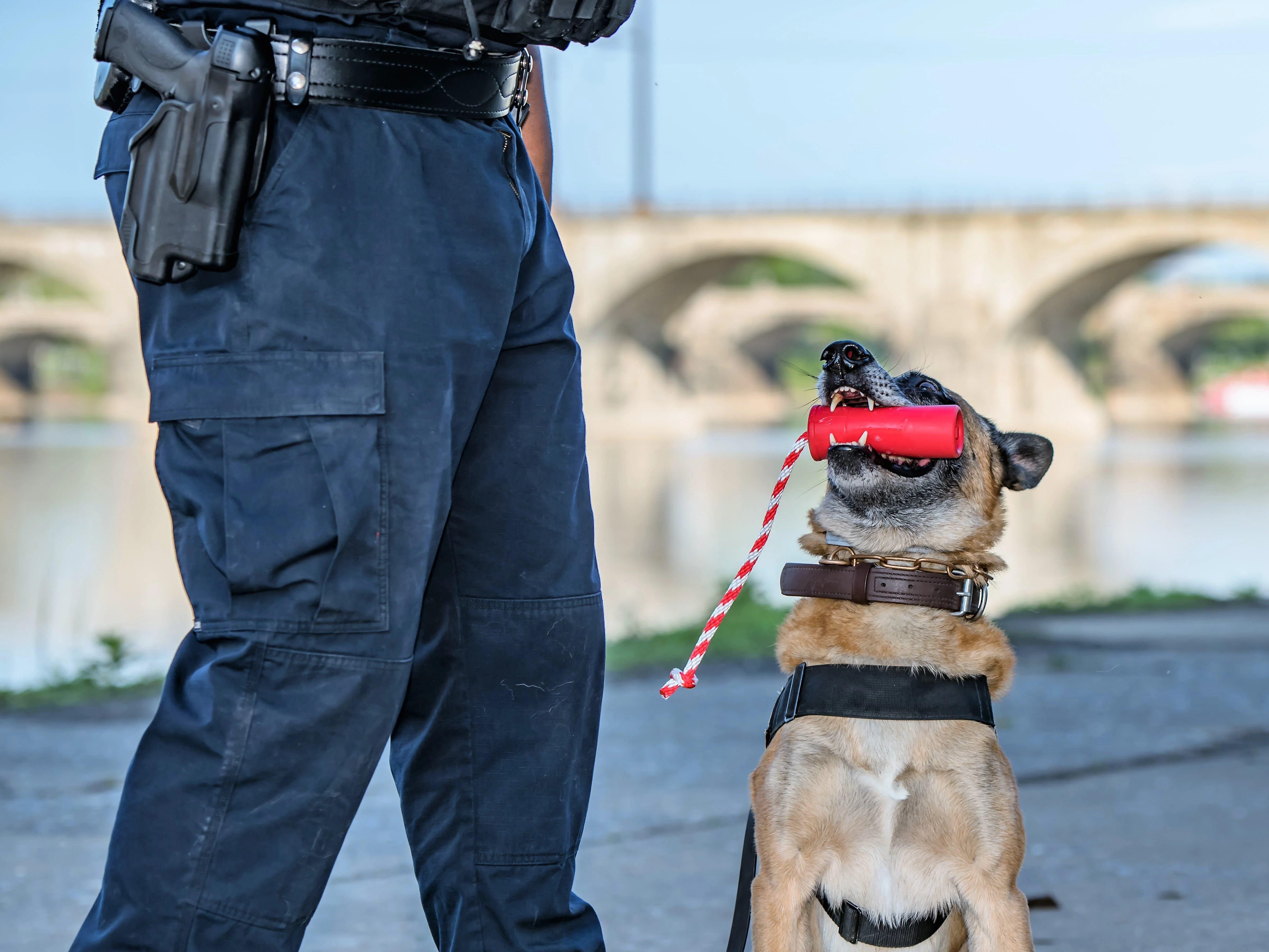 USA-K9 Firecracker Floating Training Dummy | K9 Handler Reward Toy | Red | USA Made - Image 14
