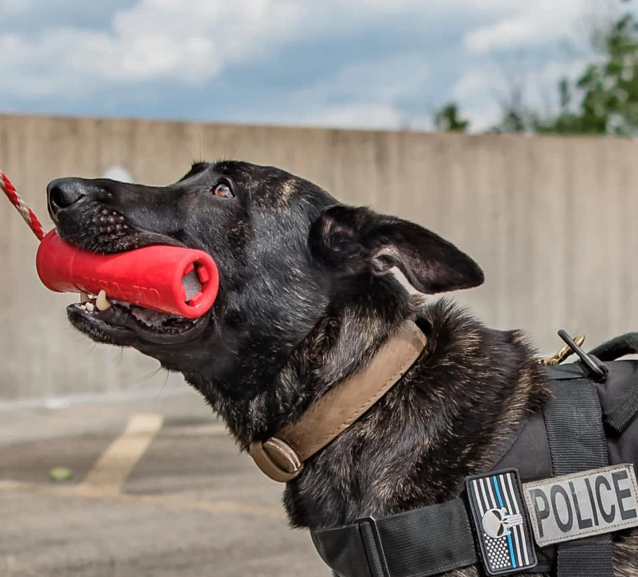USA-K9 Firecracker Floating Training Dummy | K9 Handler Reward Toy | Red | USA Made - Image 8