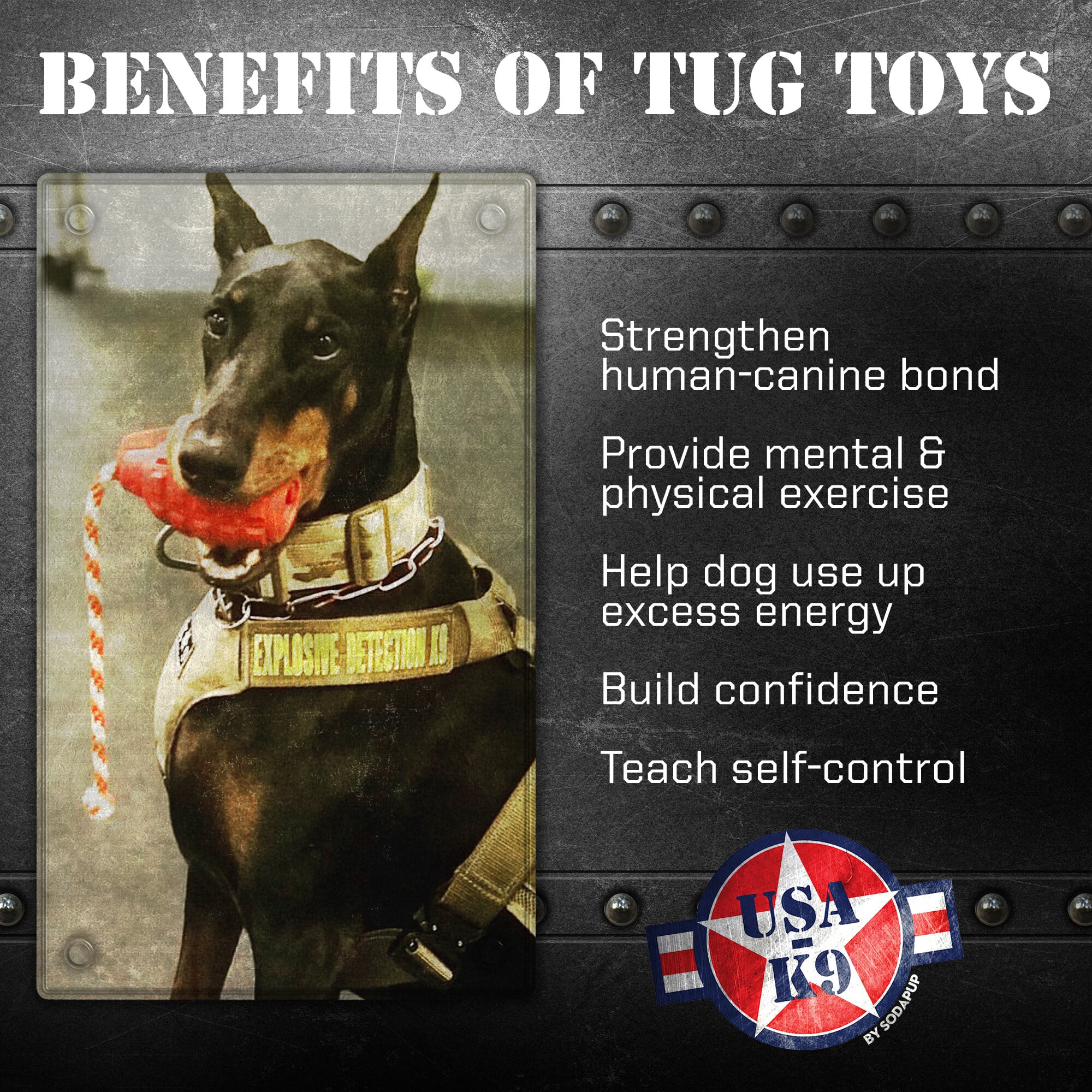 USA-K9 Grenade Rubber Dog Chew Toy | K9 Handler Reward Toy | Blue | USA Made - Image 3