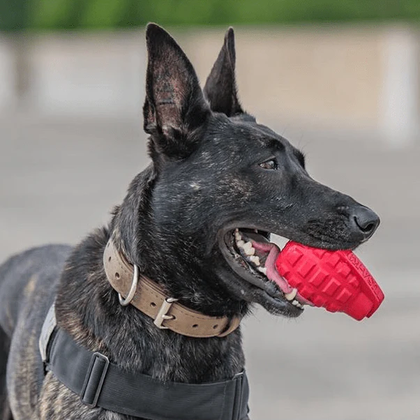 USA-K9 Grenade Rubber Dog Chew Toy | K9 Handler Reward Toy | Red & Blue | USA Made - Image 5