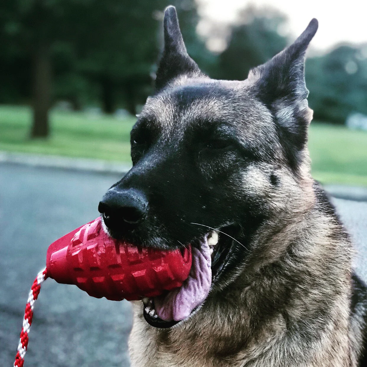 USA-K9 Grenade Shaped Rubber Dog Toy - Chew, Treat Dispenser & Tug Toy | USA - Army Green - Image 7
