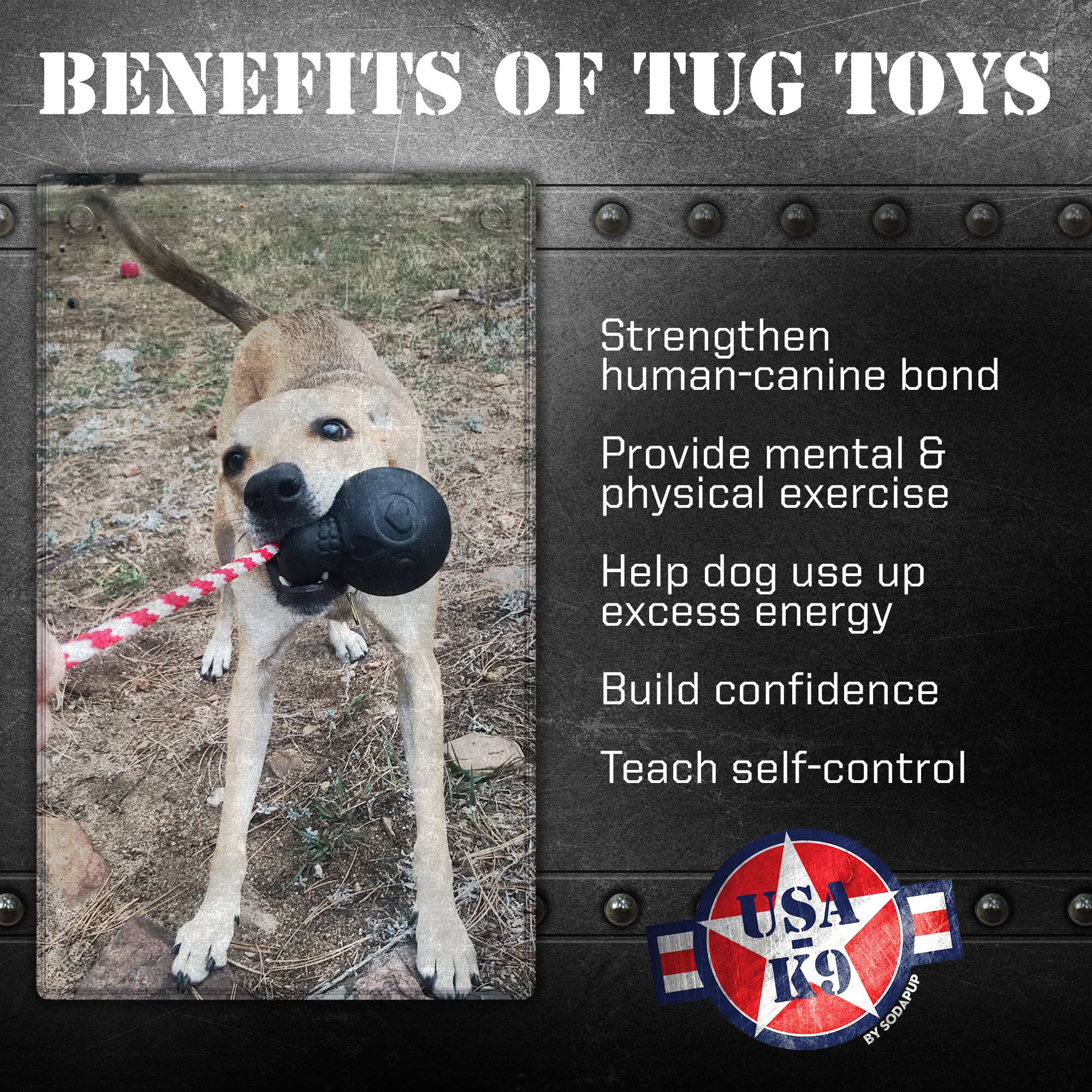 USA-K9 Magnum Skull - Black Magnum Rubber Chew Toy for Extreme Chewers | USA Made - Image 3