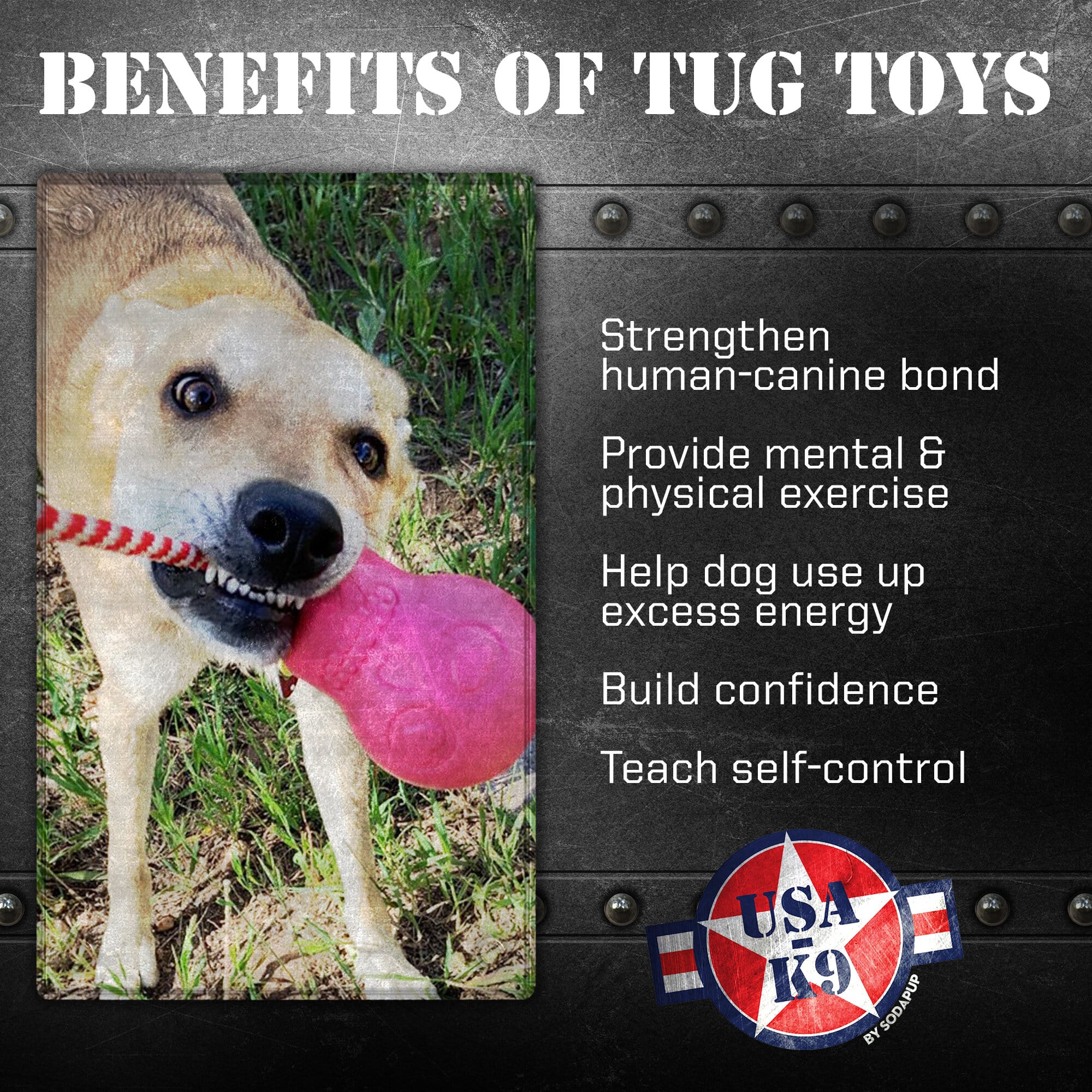 USA-K9 Skull Dog Chew Toy & Treat Dispenser - Made in USA | SodaPup - Image 3
