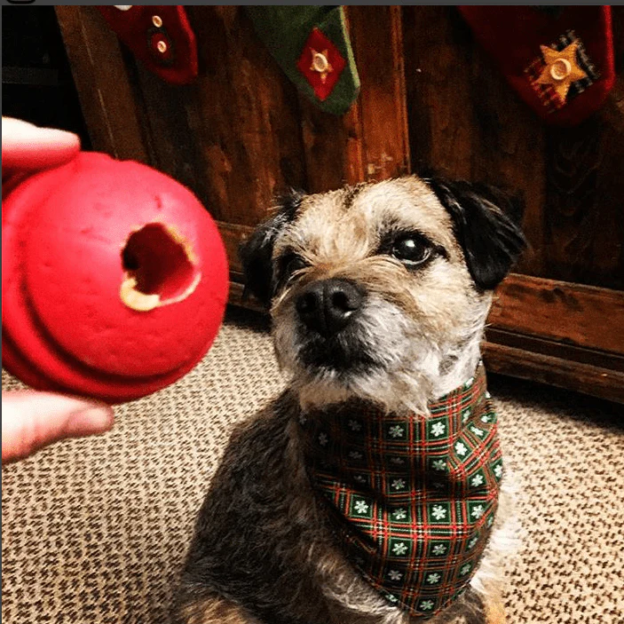 USA-K9 Stars and Stripes Rubber Dog Toy | K9 Handler Reward Toy | Red | USA Made - Image 8