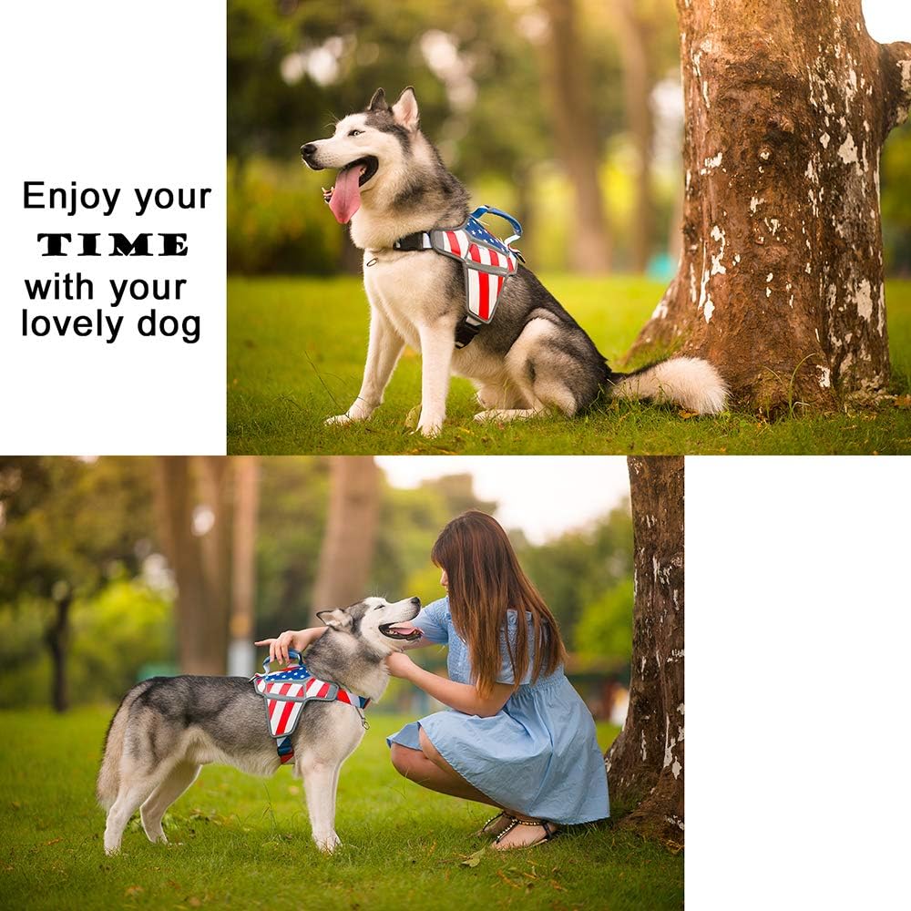 USA Patriotic Star Dog Harness+Leash Set - Image 7