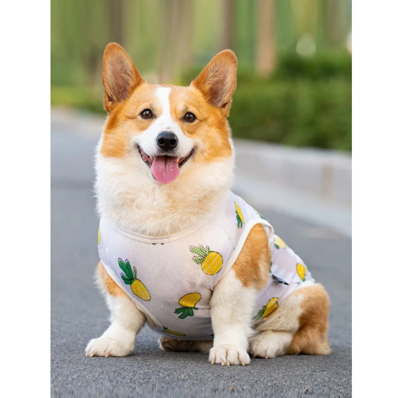 UV-resistant sun protection T-shirt For Large Dog - Image 6