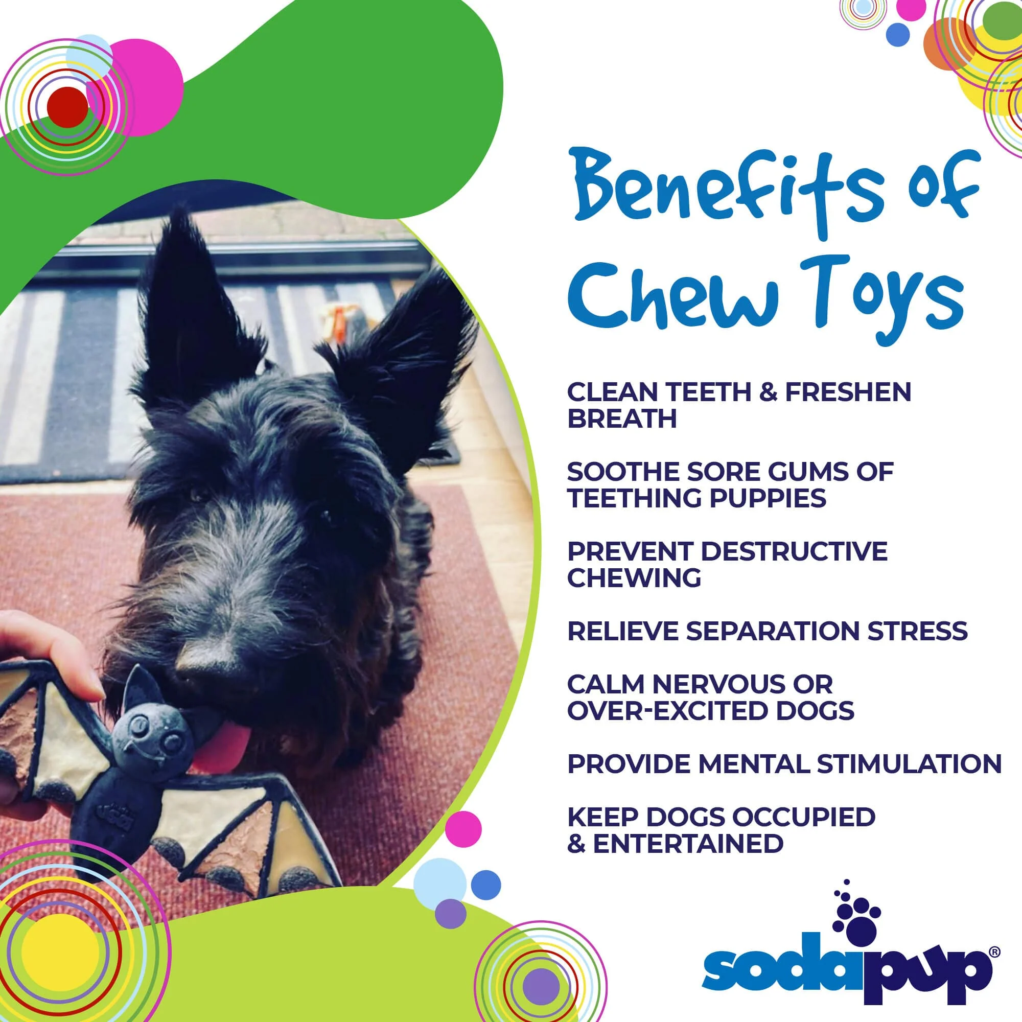 Vampire Bat Nylon Dog Chew Toy for Aggressive Chewers | USA Made & FDA Compliant - Image 4