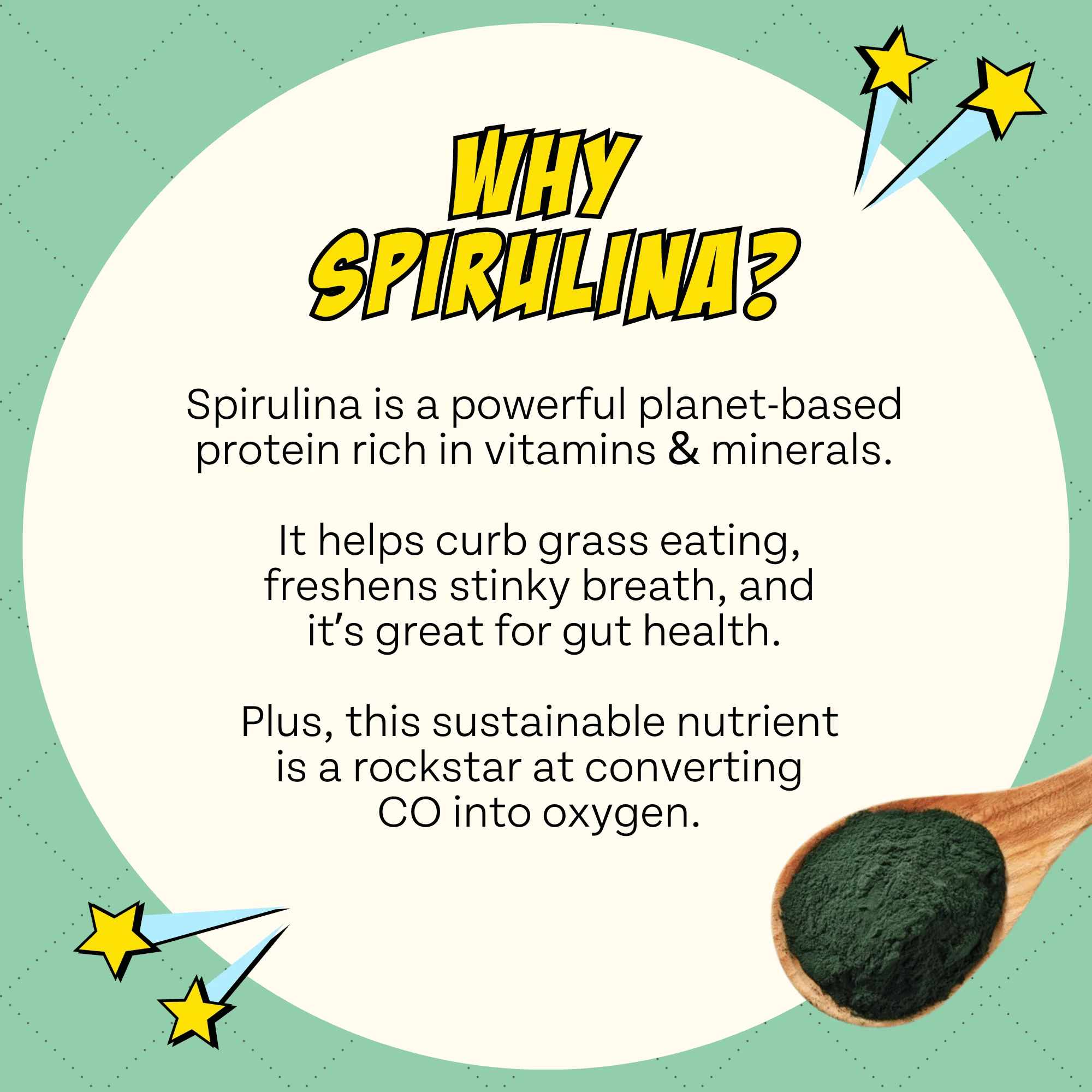 Veggie Dailies with Spirulina, 4-Pack - Image 8