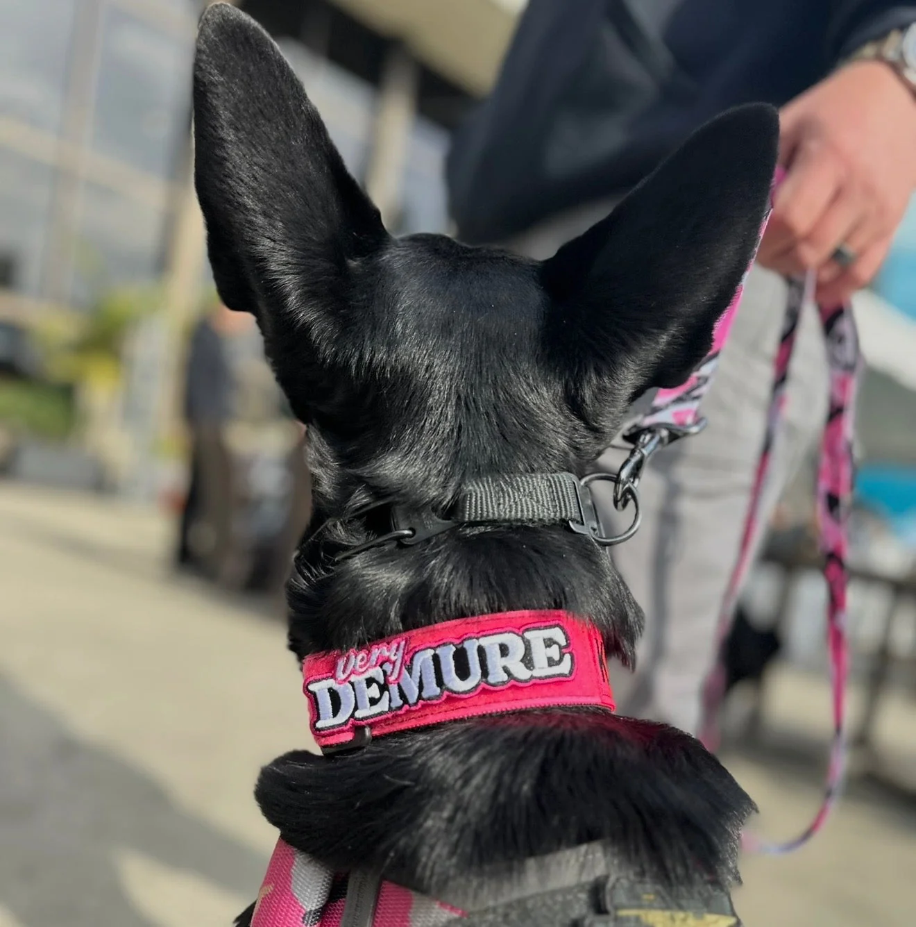 Very Demure Morale Patch - Image 3