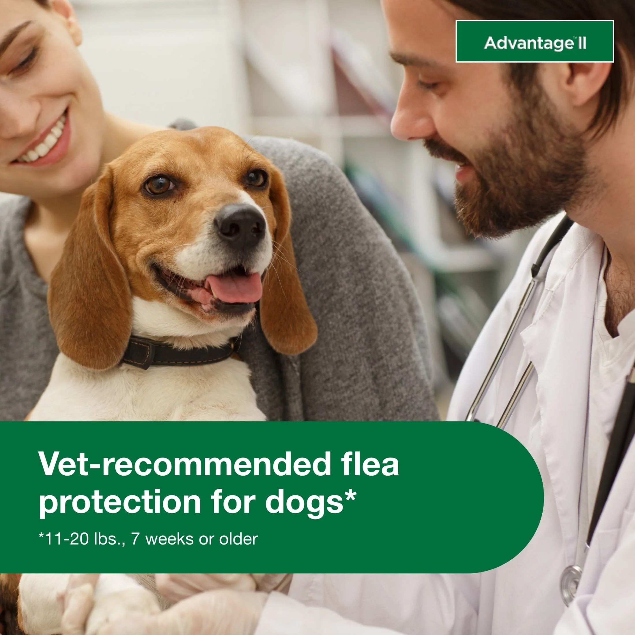 Vet-Recommended Flea Prevention for Medium Dogs 11-20 Lbs, 6-Monthly Treatments - Image 2